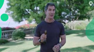 Dog Collars - Choosing the Best Dog Collar and How to Use Them - Robert Cabral Dog Training VIdeo