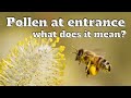 What Does Pollen At The Entrance Really Mean?