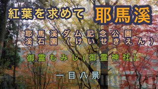 紅葉を求めて　耶馬溪に　耶馬渓ダム記念公園　溪石園　一目八景　後の車中泊