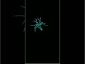 Amazing design in turtle 🐢 graphics in python #coding #python #programming #code #program