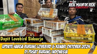 UPDATE HARGA BURUNG LOVEBIRD DAN KENARI DI BULAN OKTOBER 2024 !! DI PUSAT BURUNG INDONESIA