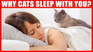 Why Does Your Cat Sleep With You? 6 Reasons You'll Love