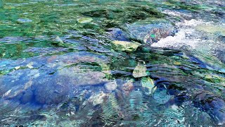 [Sound of water/sound of birds/sound of insects] Anabuki River