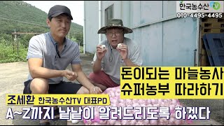 [한국농수산TV] 마늘농사는 이렇게 해야 돈이 됩니다 슈퍼농부 따라하기!! 경북 구미