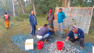 আজ লাইভে আমি আপনাদের কত বড় বড় টেংরা মাছ ধরে দেখালাম 🦈🥰 #fishing #viralvideo #pranknews #live