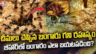 India's Largest Gold Reserves Found in Bihar | చీమలు చెప్పిన బంగారు గని రహస్యం | SumanTV Telugu