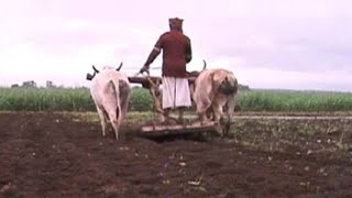 How health reforms can save Indian farmers