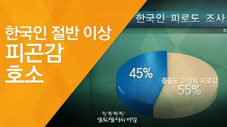 한국인 절반 이상 피곤감 호소 - (2011.8.6_381회 방송)_휴식의 힘