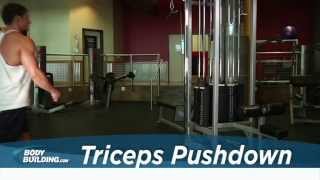 Triceps Pushdown - Tricep Exercise - Bodybuilding.com