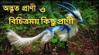 পৃথিবীর অদ্ভুত দেখতে কিছু প্রাণী যা আপনি কখনোই দেখেননি | পৃথিবীর বিচিত্রময় কিছু প্রানী