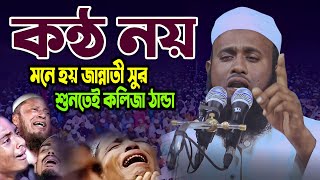 কন্ঠ নয় মনে হয় জান্নাতী সুর শুনতেই কলিজা ঠান্ডা/ Maulana Arifor rohman