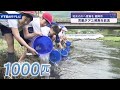 小学生がアユの稚魚放流（山形県鶴岡市）