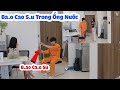 Bắt Quả Tang Chị Gái Phương Dùng Ba Con Sói - Rồi Nhét Vào Ống Nước.