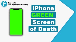 How to Fix iPhone Green Screen 2024 [3 Simple Tips]