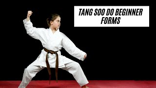 Tang Soo Do Forms Class for White to Orange Belt!