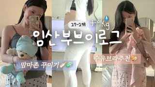 임당확정💦27-29주 임산부vlog👶🏻만삭촬영, 맘마존꾸미기, 수유브라추천, 자분?제왕?..고민중이랍니뚱..