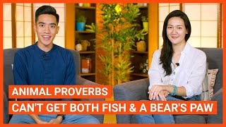 Animal Proverbs: Can't Get Both Fish \u0026 A Bear's Paw | Intermediate Lesson | ChinesePod (v)