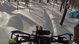 YZ450FX SnowBike with Camso DTS129 - Hardwood Slayin