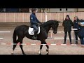 juliyade vdw davino x fruhling eptm undersaddle 2 2mar2018 1