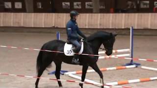 Juliyade VDW (Davino x Fruhling) EPTM underSaddle 2 (2Mar2018-1)