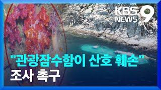 “관광 잠수함에 제주 바다 훼손”…환경단체 조사 촉구 / KBS  2022.06.08.