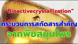 EP 274 กระบวนการสกัดสารสำคัญจากพืช Bioactivecrystallization