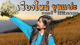 ขุนแปะ เชียงใหม่ | 2 วัน 1 คืน กับการใช้ชีวิตบนดอย ที่ชนเผ่าปกาเกอะญอ