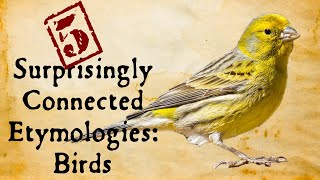 Birds: Surprisingly Connected Etymologies