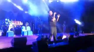 Madari - Vishal Dadlani - Vishal-Shekhar Live Concert 2015 - VIT Fest