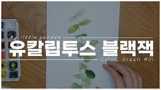 나의 작은 정원 l GREEN l 유칼립투스 블랙잭