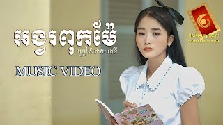 អង្វរពុកម៉ែ - ដេនី「OFFICIAL MUSIC VIDEO」