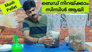 എളുപ്പത്തിൽ ബെഡ് നിറയ്ക്കാം #MushPellet #Rahulgovind #കൂൺ #mushroom #malayalam #kerala #agricultural