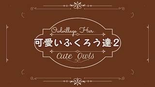 【Owl】可愛いふくろう動画まとめ②　【Cute Owls】