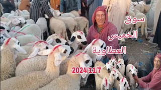 أجي تشوف معايا سوق الخميس العطاوية باقليم قلعة بتاريخ 2024/11/7 مع أتمنة خروف وخروفة الكسابي