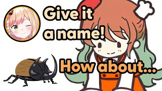 Nene showed Kiara her beetles and let her name one【Hololive】