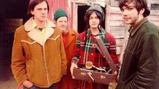 Neutral Milk Hotel - Little Birds