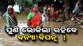 ପୁଣି ଭୋକିଲା ରହିବେ ବନ୍ୟା ବିପନ୍ନ  ! | Odisha Reporter