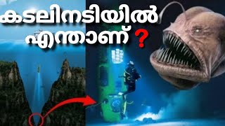 കടലിന്റെ ആഴങ്ങളിൽ എന്താണ് ? | How deep is the ocean | Mariana trench.