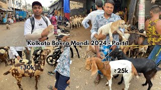 Bakra Mandi Kolkata - Narkeldanga Bakra Mandi - Kolkata Bakra mandi 2024 - Cheap price Bakra 🐐