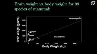 Simple Linear Regression: Transformations