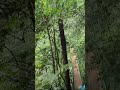 La Fortuna waterfalls