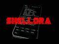 Shellora: A Terminal Launcher for Android