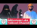 Dubartiin Akkana | Seenaa Addaa @Spidermedia1