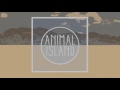 tonight official audio animal island