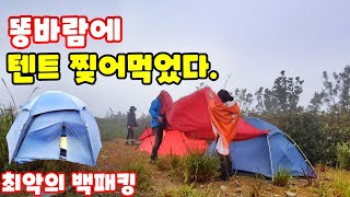 영남알프스 고헌산에서 똥바람에 텐트 찢어먹고 개고생 / 곰탕속에서 백패킹 / 울산고래고기 맛집