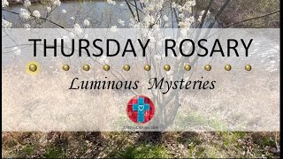 Thursday Rosary • Luminous Mysteries of the Rosary 💚 April 25, 2024 VIRTUAL ROSARY - MEDITATION