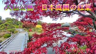 大仙公園　日本庭園の紅葉（２０２４年１１月３０日）