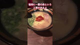 【福岡発祥グルメ】世界の一蘭、どこでも福岡を味わえる有名ラーメン店、発祥地は那の川！#福岡 #ラーメン #博多ラーメン