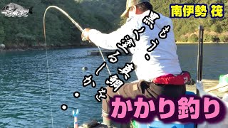 【かかり釣り 南伊勢 筏】釣れる気しかしないのに・・。