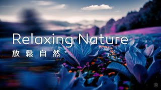 放鬆音樂Relaxing Music｜放鬆心神，獨自步入一片奇幻之境，感受與自我內心的對話